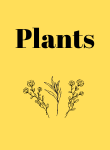 植物资源
