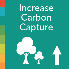 增加碳捕获