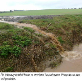 农业和水质大雨