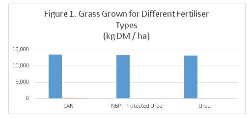 图1不同施肥类型下的草生长情况