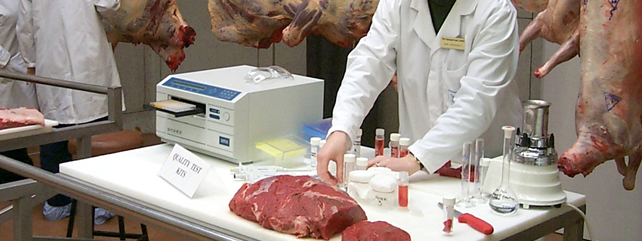 肉技术