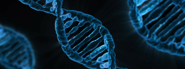 DNA测序设施