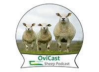 Sm@RT——精密畜牧业的羊