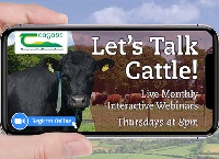 让我们谈谈牛-爱尔兰乳牛群的繁殖效率