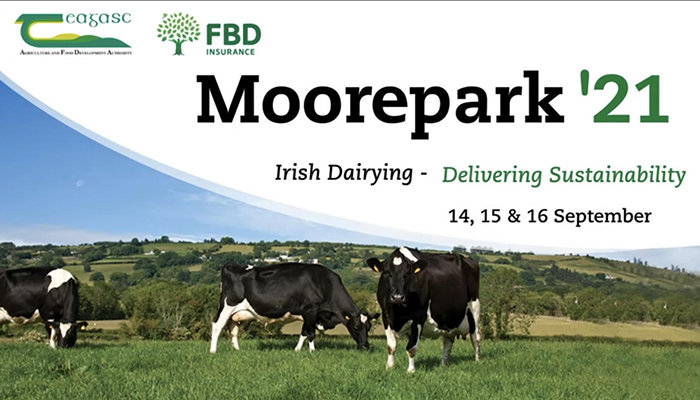 放牧管理提高爱尔兰奶牛场氮素利用效率