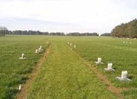 增加土壤pH值可以减少化肥产生的N2O排放