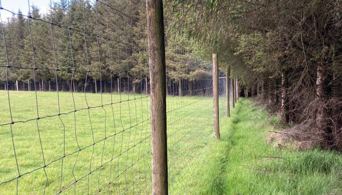 森林栅栏——保护我们的森林