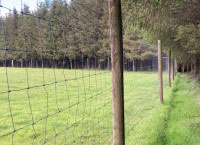 森林围栏——保护我们的森林安全