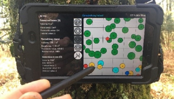 在爱尔兰多样化的森林管理系统——使用“marteloscope”网站教育新方法