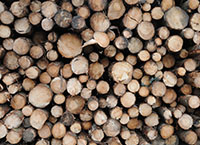 如何销售木材-谈论木材2021网络研讨会