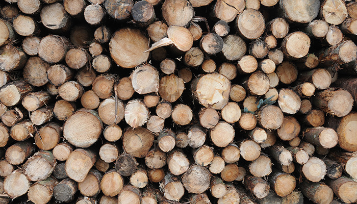 让我们使用木材,最通用的和可再生的资源