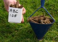 采取适当的土壤样本的重要性