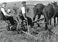 爱尔兰农村发展-爱尔兰农业咨询服务的历史
