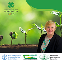 国际植物健康2020年
