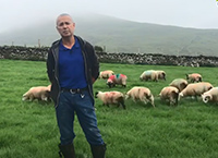 羊更好的农场更新-约翰乔菲茨杰拉德