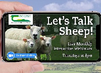 让我们谈论绵羊网络研讨会-在羊场的青贮制作