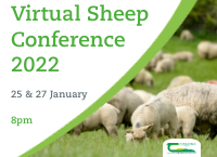 虚拟绵羊大会2022 -第一场