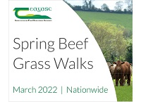 2022年春季牛肉草步行