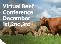 2020年虚拟牛肉会议-第三天:爱尔兰草饲牛肉