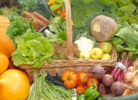日益增长的国际指南支持的水果和蔬菜