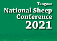 2021年虚拟绵羊大会