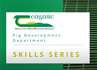 Teagasc Pig Development Department技能系列-人工授精