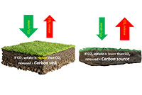 提高土壤固碳为碳中立爱尔兰农场