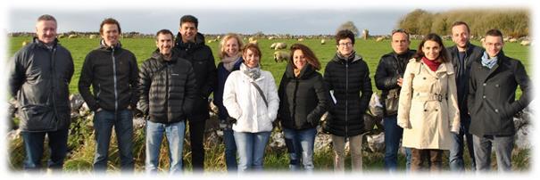 绵羊网:关于绵羊生产力的欧盟网络