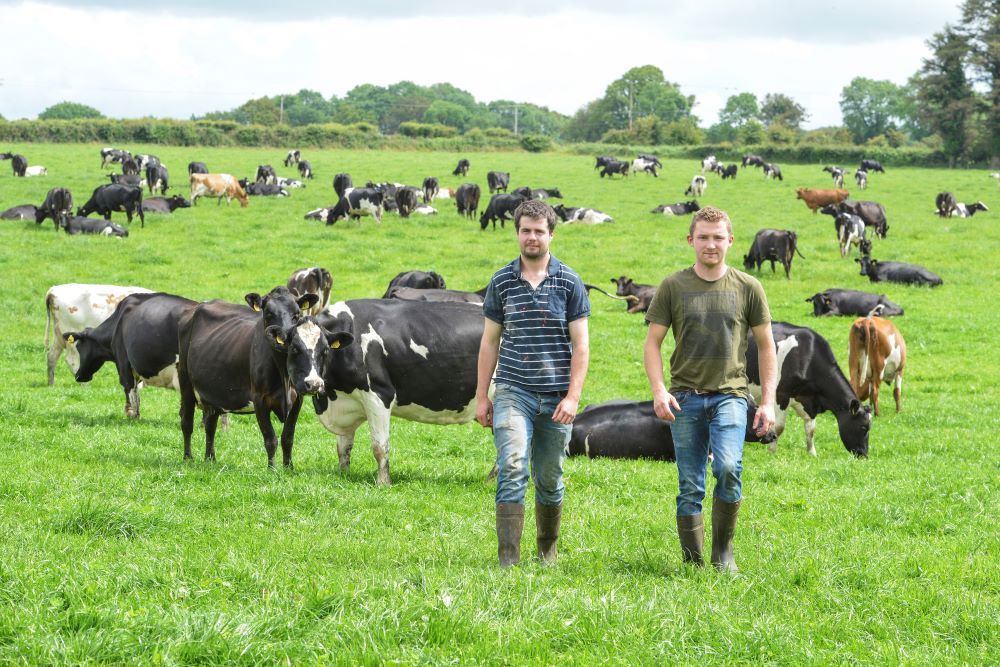 Teakcasc专业文凭在奶牛场管理中为应用程序开放