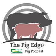 The Pig Edge播客
