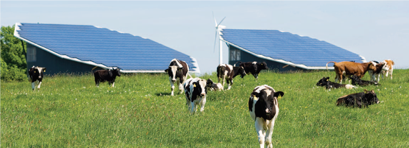 奶牛场能源横幅图像
